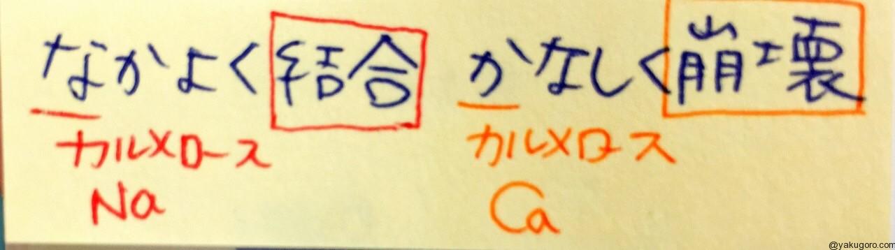 カルメロースna 結合剤 とカルメロースca 崩壊剤 の区別のゴロ 覚え方 薬ゴロ 薬学生の国試就活サイト