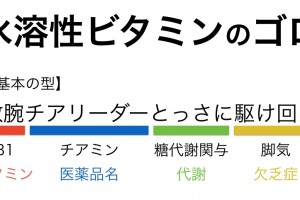 四類感染症のゴロ 覚え方 薬ゴロ 薬学生の国試就活サイト