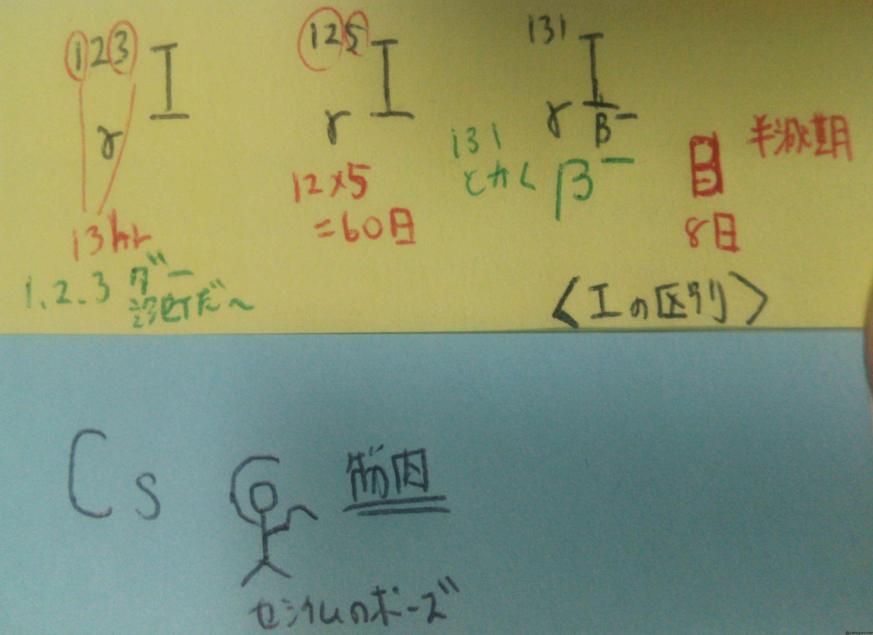 I ヨウ素 の半減期の区別とcs セシウム の蓄積場所のゴロ 覚え方 薬ゴロ 薬学生の国試就活サイト