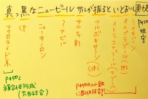 徐放性コーティング剤のゴロ 覚え方 薬ゴロ 薬学生の国試就活サイト