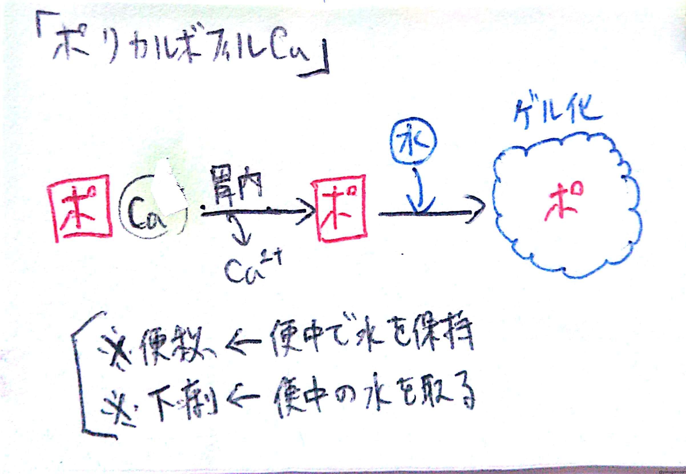 ポリカルボフィルカルシウムの作用 作用機序まとめ 覚え方 薬ゴロ 薬学生の国試就活サイト