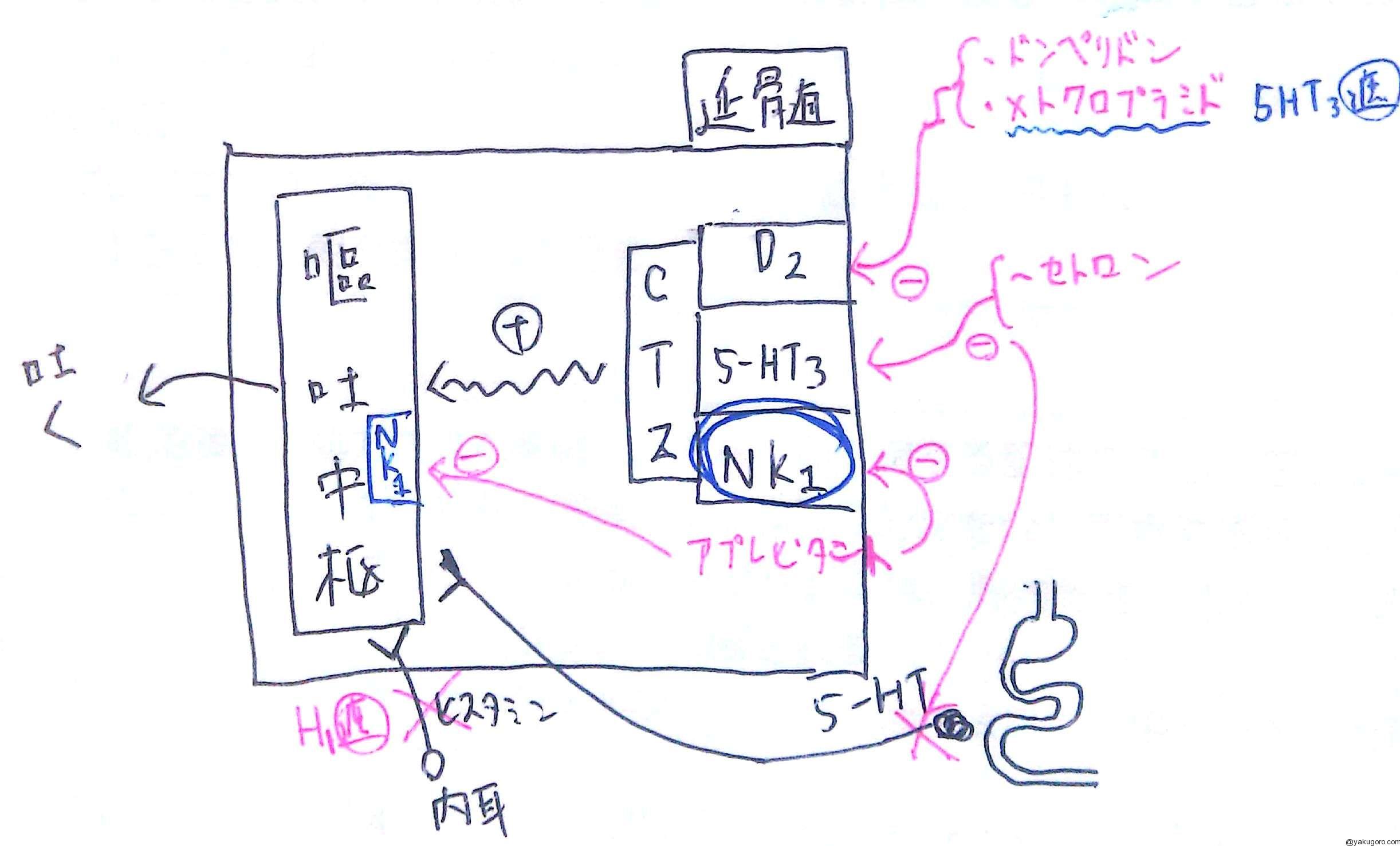 制吐薬作用機序まとめ 覚え方 薬ゴロ 薬学生の国試就活サイト